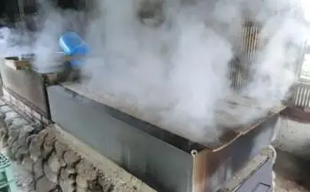 【月間10個限定】屋久島永田の塩 えん 150g 10個セット