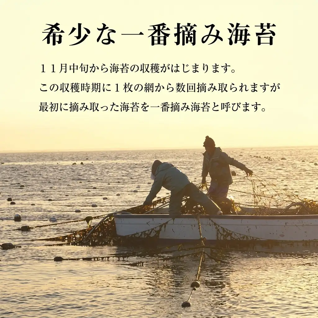 福岡有明のり 有明海産 一番摘み 大丸ボトル 味海苔 10切80枚 4本 福岡有明のり