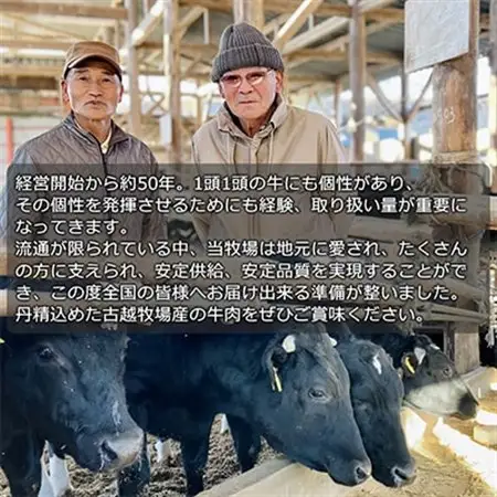 【牛肉カレー用】信州蓼科牛の厳選部位をおまかせ600g(300g×2パック)御代田町古越牧場産_肉  牛肉 _【配送不可地域：離島】【1297005】