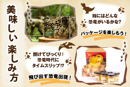 恐竜発掘プリン 特製ギフトボックス（6個入り）冷凍　プリン 図鑑付　B-026032
