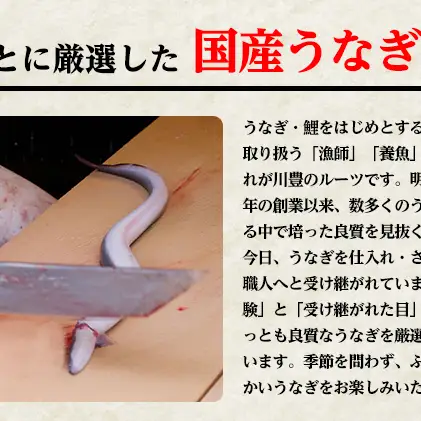 【ふるなびWEEK対象】うなぎ 川豊 上蒲焼 3人前 セット 蒲焼 うなぎの蒲焼 国産うなぎ 国産 高級品 高級食材 老舗 真空パック