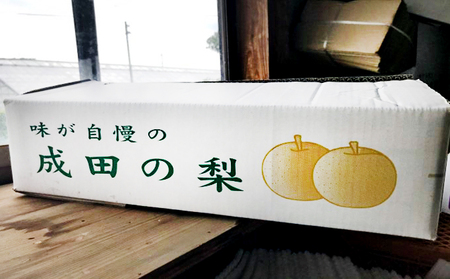 梨 幸水 豊水 4L～5L 10玉～12玉 なし ナシ 和梨 果物 くだもの フルーツ 旬のフルーツ 旬の果物 デザート 千葉 千葉県 成田市