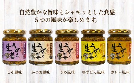 ご飯のお供食べ比べセット 生姜 ごはんのお供食べ比べ 