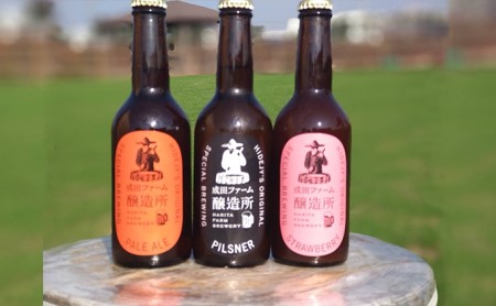 クラフトビール3本セット お酒 地ビール 330ml 