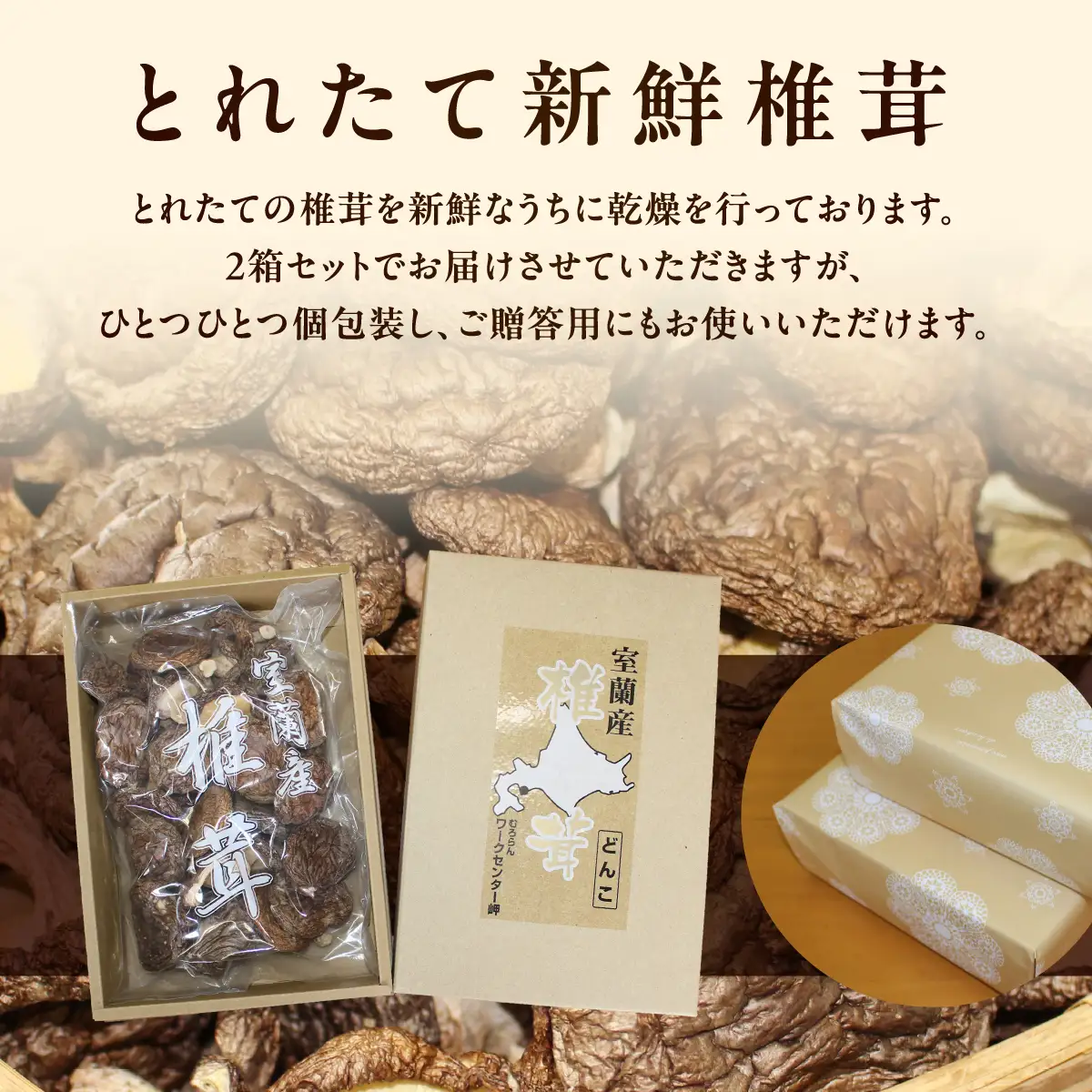 乾燥椎茸（どんこ）110g×2箱 MROBD001