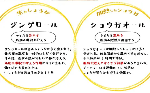 生姜パウダー 国産 25g×4袋　無添加 100％ 乾燥しょうが 粉末タイプ 高知県産