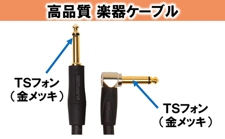 【Roland純正】高品質楽器ケーブル 3m/RIC-G10A【配送不可：離島】 雑貨 日用品 