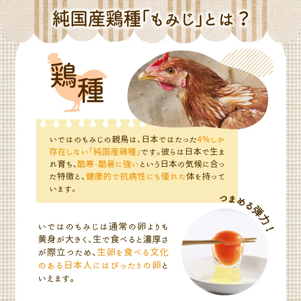 いではのもみじ紅50個入り（破損補償5個を含む）