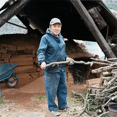 【ふるなびWEEK対象】 木炭 樫 10kg 大容量　高知県産 国産炭 BBQ キャンプ 火持ち抜群 業務用 炭火料理