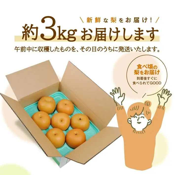 SA3036　酒田産【特選】あきづき梨　約3kg(6～9玉入)