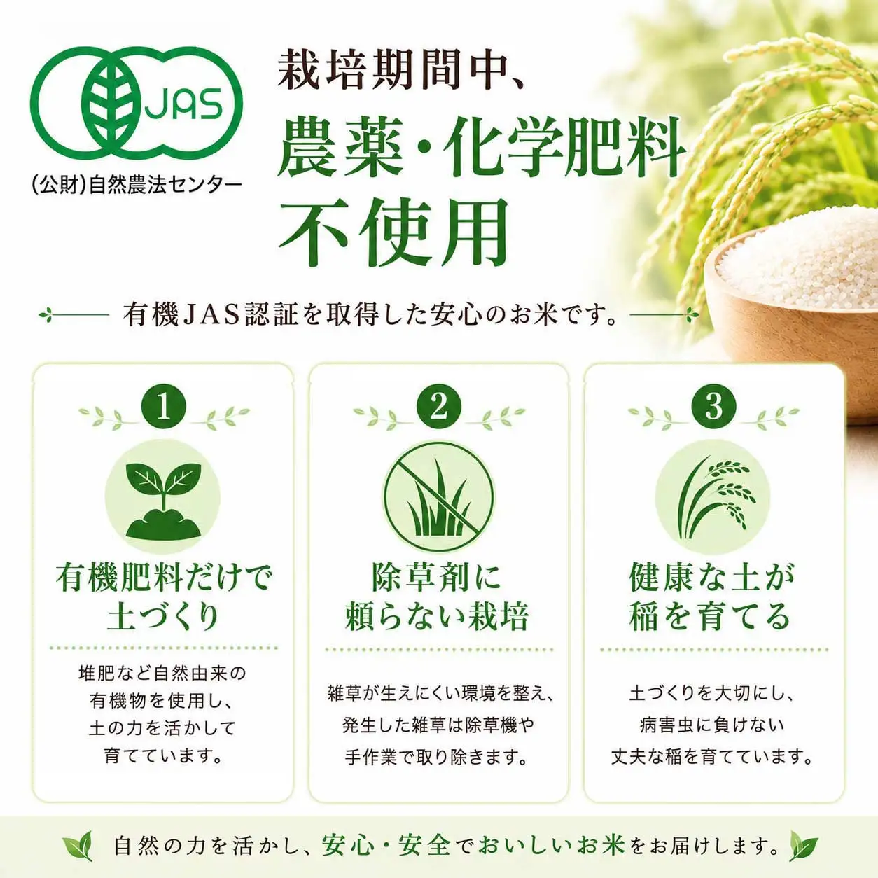 【令和8年産 新米予約】有機栽培米 新潟産コシヒカリ 5kg｜自然の恵みが育むおいしさ〈有機JAS認証〉 10月下旬頃より順次発送　