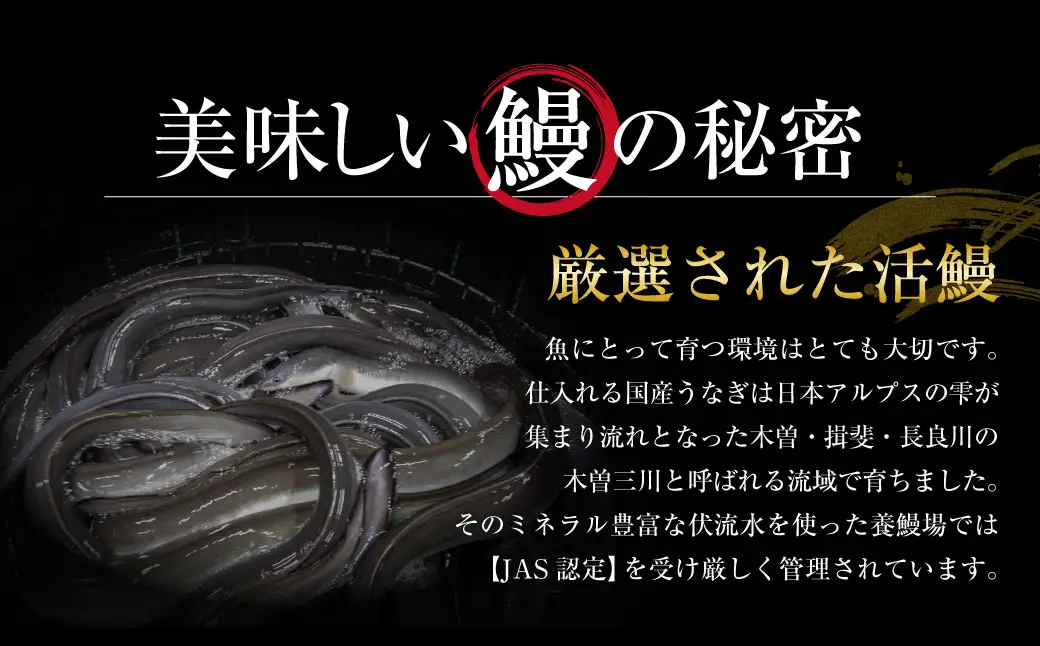 王鉄興業 木曽三川うなぎ長焼きセット 130g×5枚 （計650g） 鰻 うなぎ ウナギ 蒲焼 かば焼 たれ タレ 土用の丑 ひつまぶし うな重
