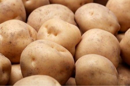 【令和9年産 先行予約】 お米と秋野菜セット 野菜 セット サスケの家