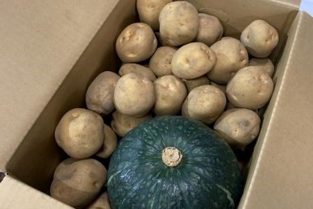 【令和9年産 先行予約】じゃがいも かぼちゃ 5kg 詰め合わせ セット 秋野菜セット サスケの家