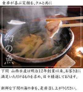 【山口県下関産】天然クエ鍋セット 3-4人前(450g) AU クエクエクエ