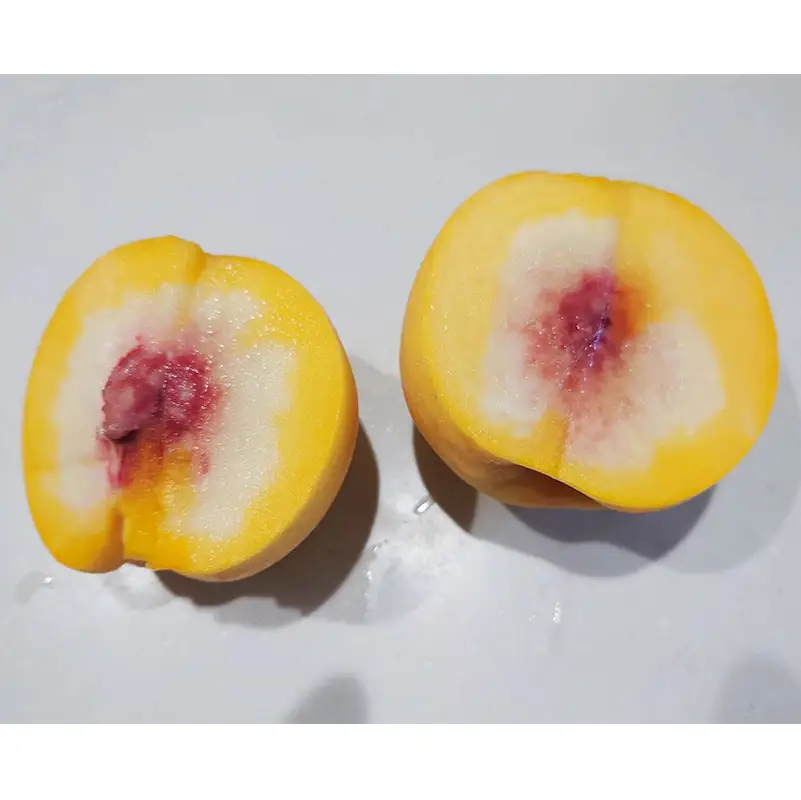 【2027年先行予約】農家おすすめ！希少品種「あかつき姫」 2kg FSY-2381