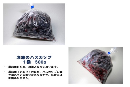 北海道特産の果実ハスカップ、業務用(訳あり)１ｋｇ 1354