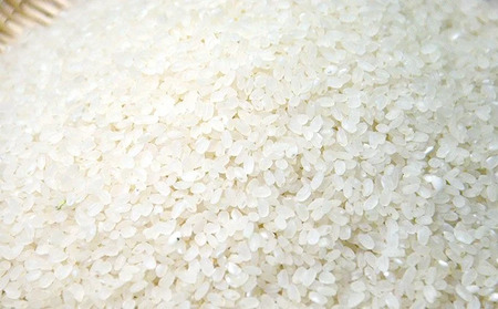 【令和7年産米】樽井商店の仁井田米「幻の香る米」6kg（3kg×2）Bti-B03 仁井田米
