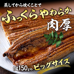 うなぎ 国産 上 長蒲焼き 4尾 600g以上 うなぎ