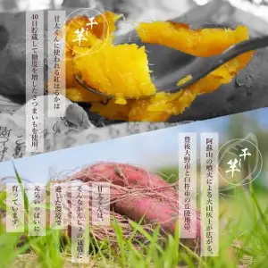 【訳あり】ご家庭用　甘太くん干し芋200ｇ×5袋 F02012