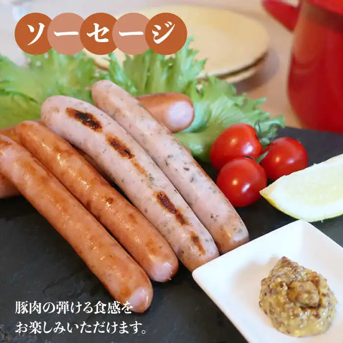 【 全12回 定期便 】  糸島 の 陽光 ハム セット 《糸島》 【志摩スモークハウス】 [AOA010]