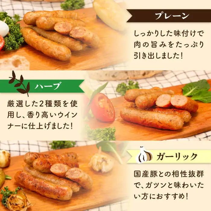 【 全12回 定期便 】  生 ウインナー 30本 ( 5本 × 6種 ) 糸島市 / 志摩スモークハウス [AOA025] ウィンナー セット