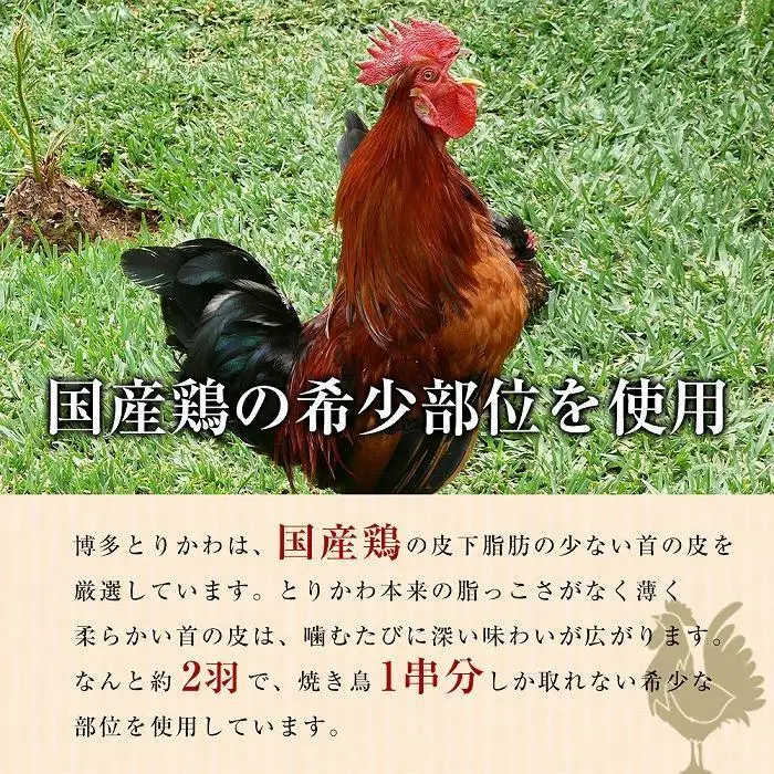 博多本格とりかわ 30本入(博多とりかわ長政) | 福岡県 福岡市 福岡 博多 九州 納税 返礼品 お取り寄せグルメ 取り寄せ グルメ 鳥皮 焼き鳥 皮 焼鳥 やきとり 鶏肉 とり肉 とりかわ とり皮 冷凍 おつまみ つまみ お惣菜 惣菜 おかず ご当地