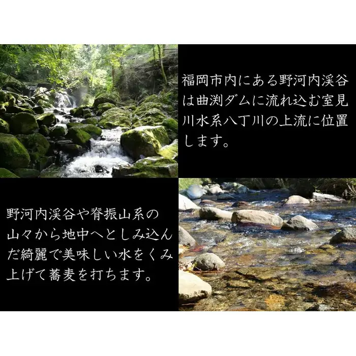 【手打ちそば蕎波人の「ざるそば4人前」セット】福岡市にある野河内渓谷からくみ上げた地下水を使用した本格手打ちそばをご自宅で！ | 福岡県 福岡市 福岡 九州 納税 返礼品 返礼 お取り寄せグルメ 取り寄せ グルメ そば 蕎麦 お蕎麦 麺