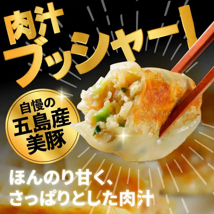 美豚餃子150個（15個×10袋） 五島市/長崎フードサービス[PEL021]  冷凍 餃子 中華 ぎょうざ ギョウザ