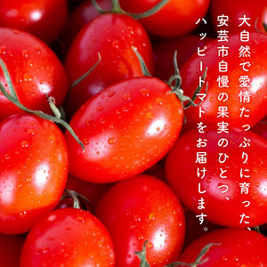 ハッピートマト3kg 先行予約【ミニトマト】