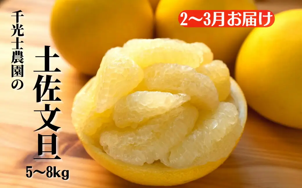 安芸市フルーツ定期便A【7万円コース/年5回発送】