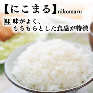 【令和7年産】 米 10kg にこまる 米 AS012