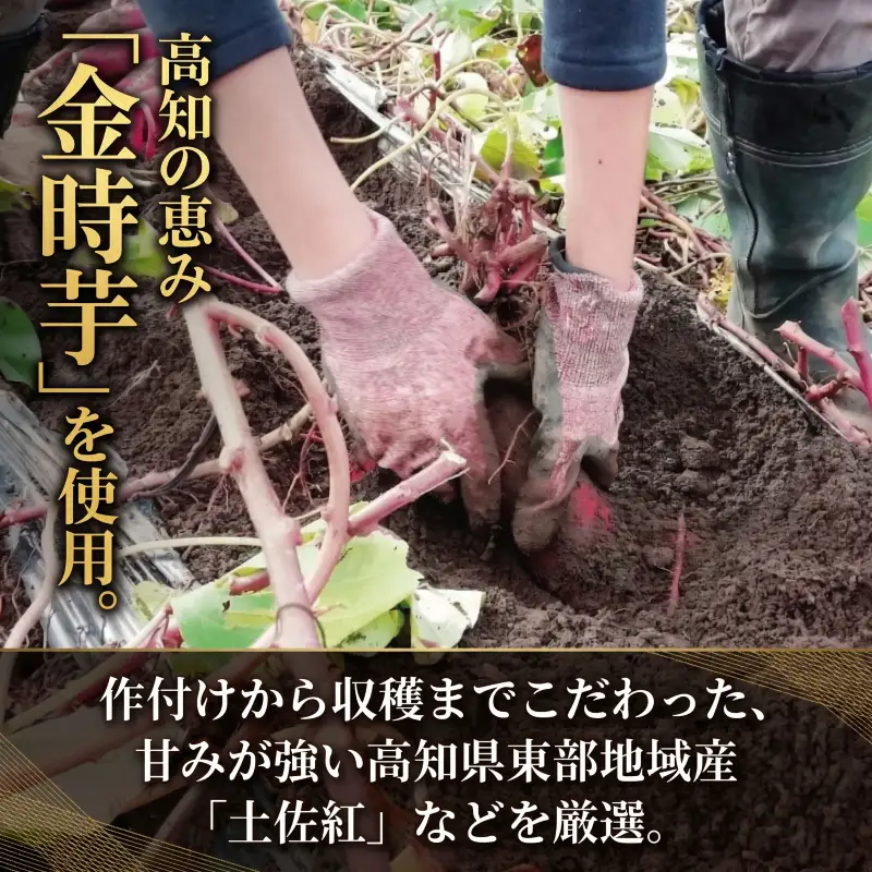 芋けんぴ1080g【芋けんぴ】