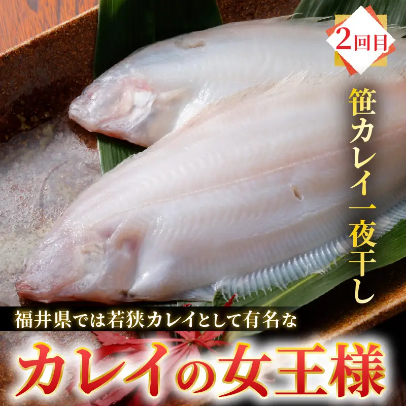 【6ヶ月連続お届け】朝市たろうのイチオシ海鮮定期便 [G-12301]