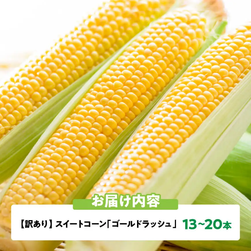 【訳あり】令和9年産　スイートコーン「ゴールドラッシュ」13~20本 【 新鮮 農家直送 トウモロコシ 産地直送 季節限定 期間限定 宮崎県産 九州産スイートコーン 】