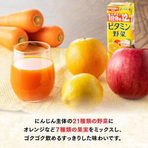 【3ヶ月定期便】栄養機能食品ビタミン野菜（紙パック）200ml×24本 【飲料類 野菜ジュース ミックスジュース 健康 飲みもの】