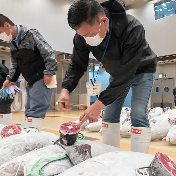 料亭の味をご自宅で、マグロの目利き名人宮川輝雄が送る 逸品のマグロ すき身セット M071-001 冷凍 マグロ