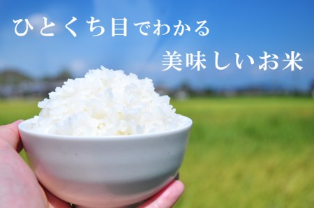 ぎおん米コシヒカリ 5kg 株式会社TKS 滋賀県 東近江市 A-G24 米 白米 こしひかり 5キロ お取り寄せ 産地直送