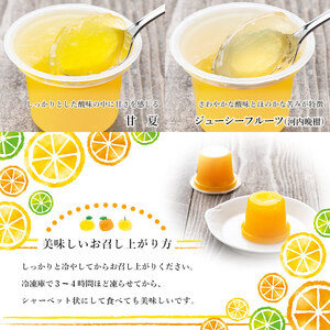 ＜無茶々園 寒天みかんゼリー 12個セット 4種×各3個＞ 果物 オレンジ 温州みかん 伊予柑 いよかん 甘夏 あまなつ ジューシー フルーツ 河内晩柑 かわちばんかん 特産品 愛媛県 西予市【常温】『2026年4月～8月下旬に順次出荷予定』AMC0007