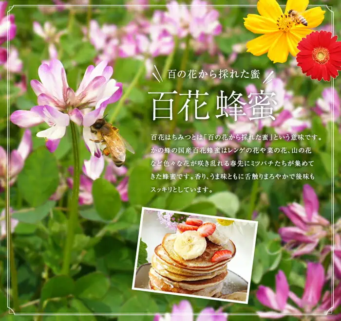 かの蜂 国産 百花蜂蜜 2kg（とんがり容器500g×4本） 024-083