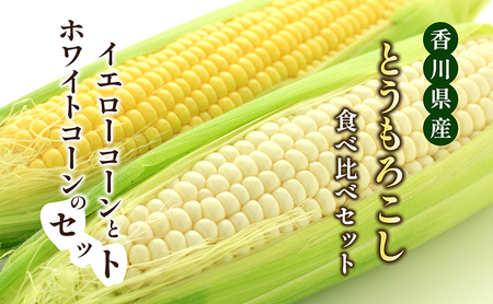 とうもろこし イエローコーン ホワイトコーン とうもろこし【約5kg 詰め合わせ】 【46312382】