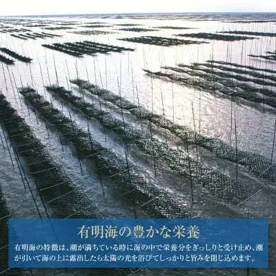 Z26-34 有明海産一番摘み 大丸ボトル味海苔 10切80枚 4本セット のり