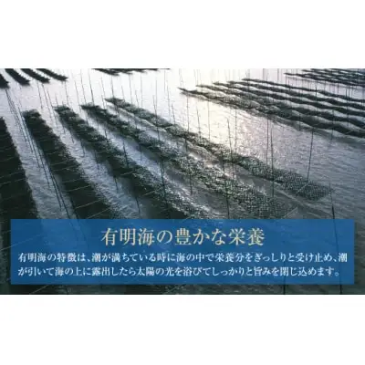 Z26-35 有明海苔 味海苔 大丸ボトル 10切80枚 6本セット 海苔