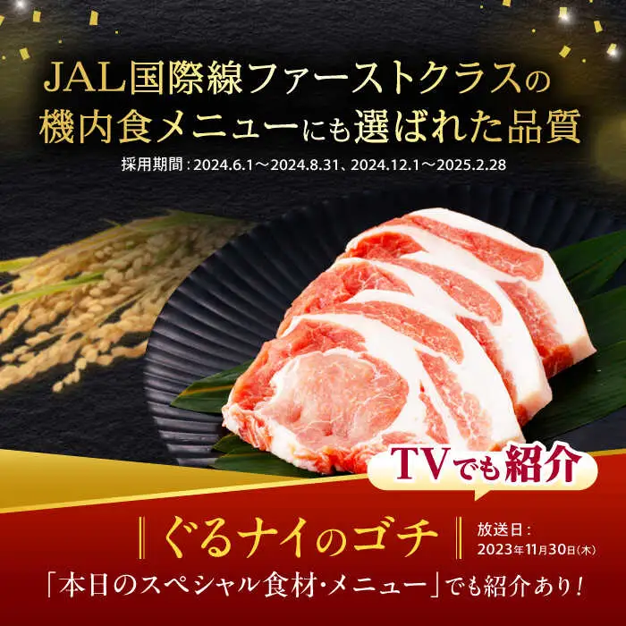 豚肉【2回定期便】バラエティ 3kg AHAD001 定期便