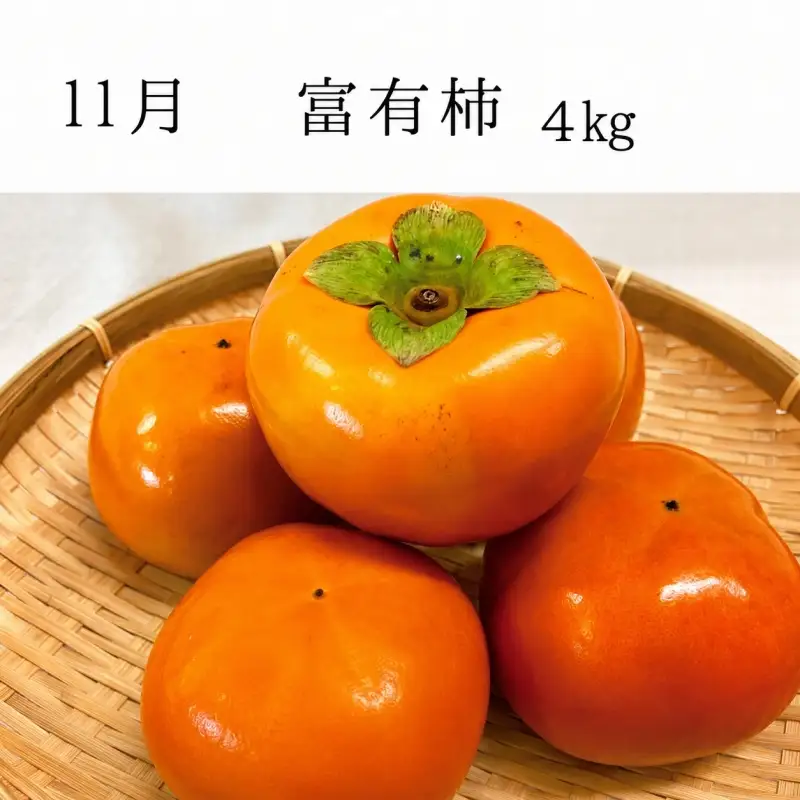 【全3回定期便】秋の味覚 果物定期便　柿・みかん　旬のフルーツを毎月お届け♪ひらたねなし柿・富有柿・田村みかん【tkb130】