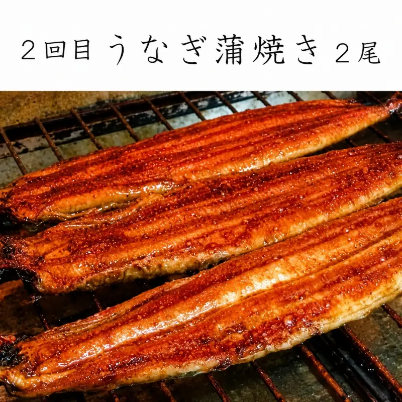 【全3回定期便】和歌山からお届け おさかな定期便　サバ・ウナギ・サケ【tkb131】