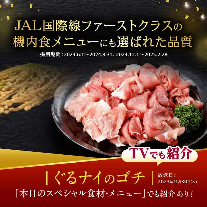 豚肉【2回定期便】諫美豚切り落とし 2.1kg AHAD012 定期便