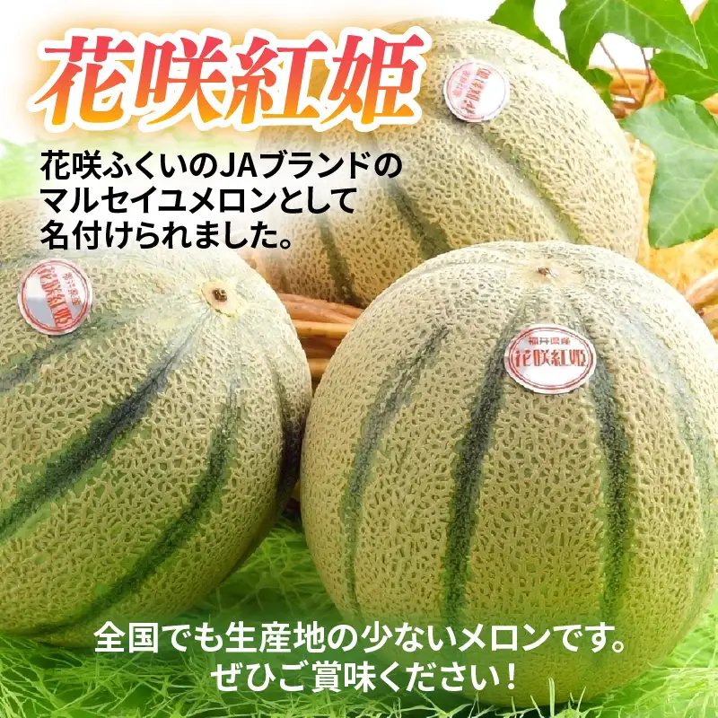 【先行予約】マルセイユメロン 2玉入 4Lサイズ ／ メロン フルーツ 果物 赤肉 花咲紅姫 贈答用 プレゼント 贈り物 国産 期間限定 産地直送 人気 ※2027年6月中旬より順次発送 [aw003-a007]