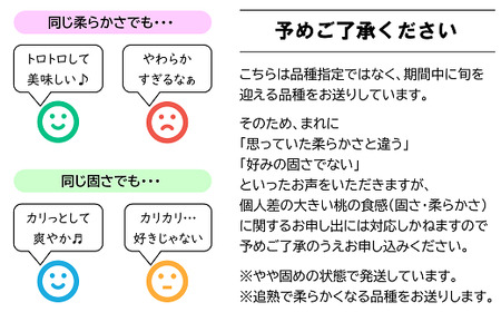 【令和9年産先行予約】 晩成のもも「あぶくま・だて白桃・西王母 等」約3kg (8～11玉) 《令和9年8月下旬～発送》 『生産者 佐藤 勇二』 桃 モモ 果物 フルーツ 産地直送 [967]