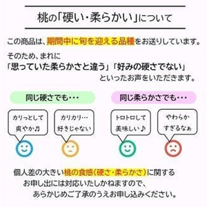【令和8年産先行予約】 JA もも 「川中島」 約3kg (8～11玉) 化粧箱入り 《令和8年8月下旬～9月下旬発送》 『JA山形おきたま』 桃 モモ 果物 フルーツ 山形県 南陽市 [982]